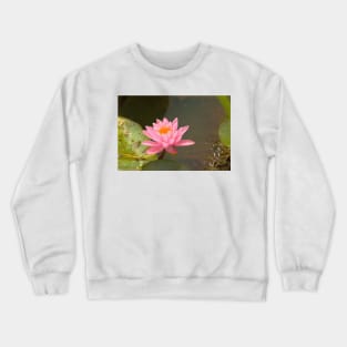 Pink water lily Crewneck Sweatshirt